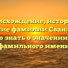 Происхождение, история и склонение фамилии Сван: все, что нужно знать о значении этого фамильного имени