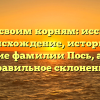 Путь к своим корням: исследуем происхождение, историю и значение фамилии Пось, а также правильное склонение