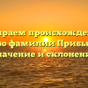 Разбираем происхождение и историю фамилии Прибыльская: значение и склонение