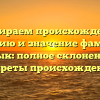 Разбираем происхождение, историю и значение фамилии Садык: полное склонение и секреты происхождения