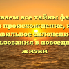 Раскрываем все тайны фамилии Крихта: происхождение, история и правильное склонение для использования в повседневной жизни