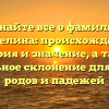 Узнайте все о фамилии Астрелина: происхождение, история и значение, а также правильное склонение для разных родов и падежей