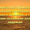 Узнайте все о фамилии Мальчукова: происхождение, история и значение, а также правильное склонение для разных падежей