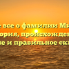 Узнайте все о фамилии Милюхин: история, происхождение, значение и правильное склонение