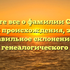 Узнайте все о фамилии Сивоха: история происхождения, значение и правильное склонение для вашего генеалогического дерева.