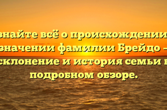 Узнайте всё о происхождении и значении фамилии Брейдо — склонение и история семьи в подробном обзоре.