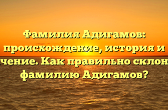 Фамилия Адигамов: происхождение, история и значение. Как правильно склонять фамилию Адигамов?