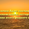 Фамилия Акес: исследуем происхождение, историю и значение этого редкого имени