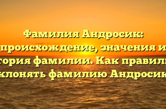 Фамилия Андросик: происхождение, значения и история фамилии. Как правильно склонять фамилию Андросик?