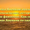 Фамилия Аненков: исследуем происхождение, историю и значение фамилии. Как склонять фамилию Аненков по падежам?