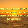 Фамилия Балл: изучаем происхождение, историю и значение, а также склонение фамилии