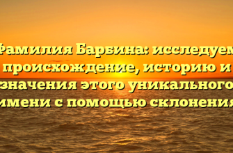 Фамилия Барбина: исследуем происхождение, историю и значения этого уникального имени с помощью склонения