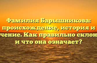 Фамилия Барышникова: происхождение, история и значение. Как правильно склонять и что она означает?