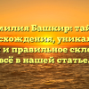 Фамилия Башкир: тайны происхождения, уникальная история и правильное склонение — всё в нашей статье.