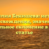 Фамилия Бекишева: история происхождения, значение и правильное склонение в одной статье