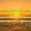 Фамилия Белик — история происхождения и значения, правильное склонение и интересные факты