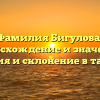 Фамилия Бигулова: происхождение и значение, история и склонение в таблице