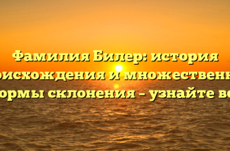 Фамилия Билер: история происхождения и множественные формы склонения – узнайте всё