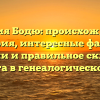 Фамилия Бодю: происхождение и история, интересные факты о значении и правильное склонение для учета в генеалогическом древе