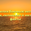 Фамилия Боковых: истоки, значение, склонение и интересные факты
