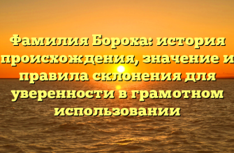 Фамилия Бороха: история происхождения, значение и правила склонения для уверенности в грамотном использовании