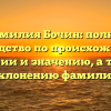 Фамилия Бочин: полное руководство по происхождению, истории и значению, а также склонению фамилии