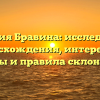 Фамилия Бравина: исследование происхождения, интересные факты и правила склонения.