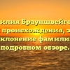 Фамилия Брауншвейгская: история происхождения, значение и склонение фамилии в подробном обзоре.