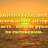 Фамилия Бубашвили: происхождение, история и значимость – полное руководство по склонению.