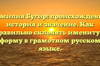 Фамилия Бугир: происхождение, история и значение. Как правильно склонять именитую форму в грамотном русском языке.
