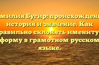 Фамилия Бугир: происхождение, история и значение. Как правильно склонять именитую форму в грамотном русском языке.