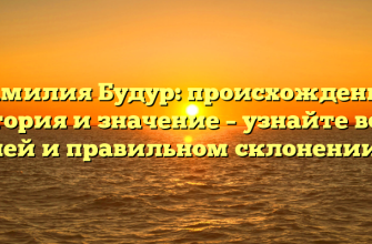 Фамилия Будур: происхождение, история и значение – узнайте все о ней и правильном склонении.