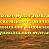 Фамилия Булига: история происхождения, значение и правильное склонение в уникальной статье