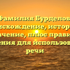 Фамилия Бурделов: происхождение, история и значение, плюс правила склонения для использования в речи