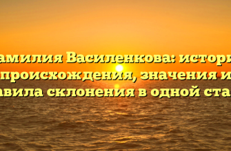 Фамилия Василенкова: история происхождения, значения и правила склонения в одной статье