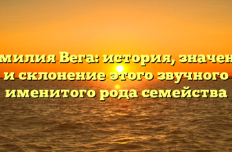Фамилия Вега: история, значение и склонение этого звучного именитого рода семейства