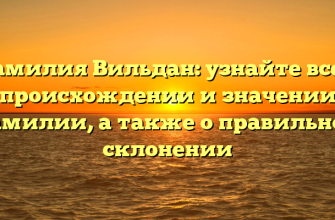 Фамилия Вильдан: узнайте все о происхождении и значении фамилии, а также о правильном склонении
