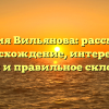 Фамилия Вильянова: рассмотрим происхождение, интересные факты и правильное склонение
