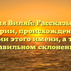 Фамилия Виляй: Рассказываем об истории, происхождении и значении этого имени, а также о правильном склонении!