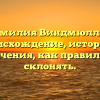 Фамилия Виндмюллер: происхождение, история и значения, как правильно склонять.