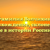 Фамилия Волчихин: происхождение, склонение и значение в истории России и мире