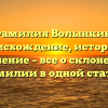 Фамилия Волынкин: происхождение, история и значение – все о склонении фамилии в одной статье.