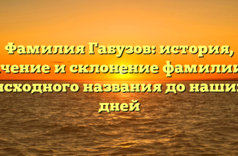 Фамилия Габузов: история, значение и склонение фамилии от исходного названия до наших дней