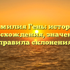 Фамилия Гень: история происхождения, значение и правила склонения