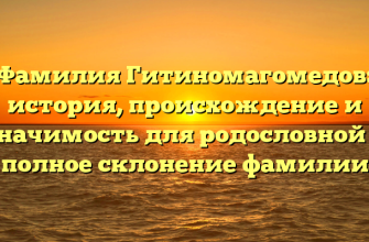 Фамилия Гитиномагомедов: история, происхождение и значимость для родословной — полное склонение фамилии
