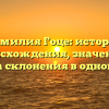 Фамилия Гоце: история происхождения, значение и правила склонения в одной статье