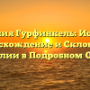 Фамилия Гурфинкель: История, Происхождение и Склонение Фамилии в Подробном Обзоре