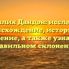 Фамилия Дандон: исследуем происхождение, историю и значение, а также узнаем о правильном склонении