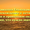 Фамилия Ельникова: происхождение и история, значение и правильное склонение – все, что нужно знать!