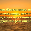 Фамилия Жестяников: изучаем происхождение, историю и значение, а также склонение этой русской фамилии